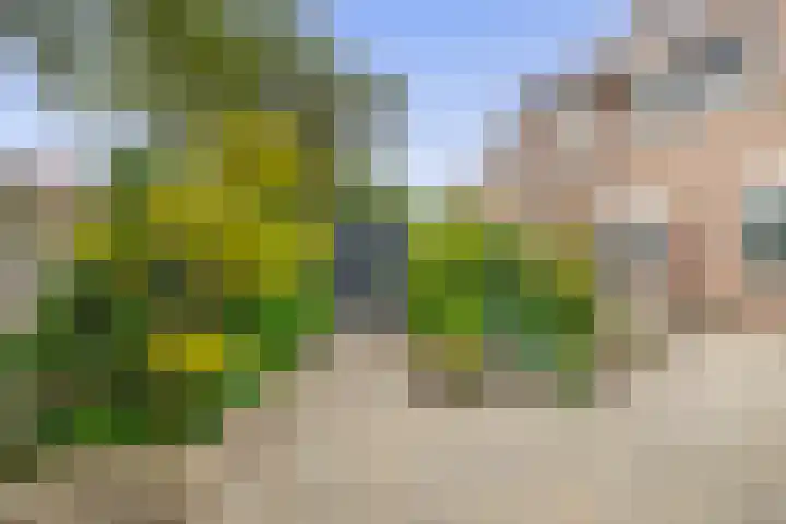 Schrijnwerker 19 Spijkenisse thumbnail 27