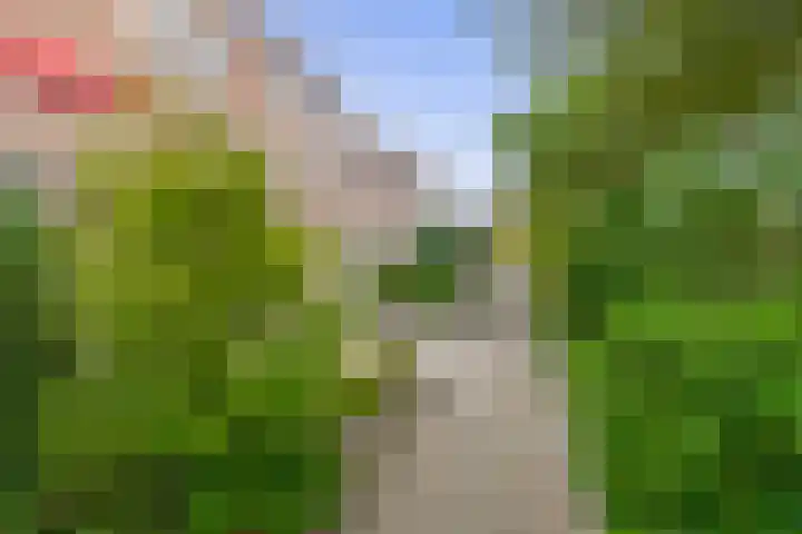 Schrijnwerker 19 Spijkenisse thumbnail 28