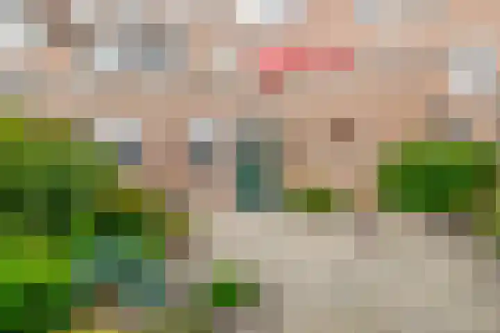 Schrijnwerker 19 Spijkenisse thumbnail 29