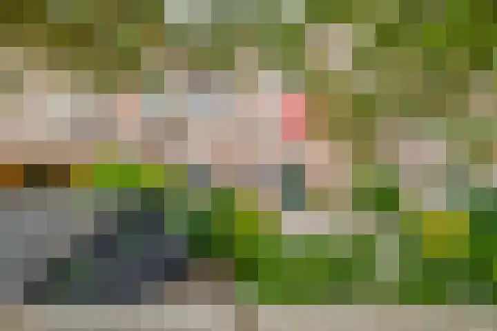 Schrijnwerker 19 Spijkenisse thumbnail 31