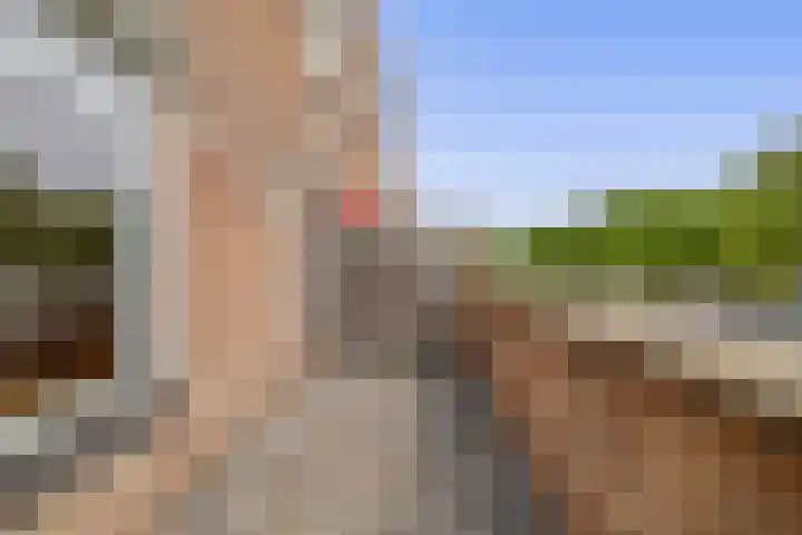 Schrijnwerker 19 Spijkenisse thumbnail 41