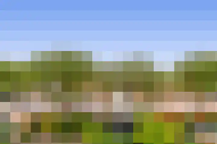 Schrijnwerker 19 Spijkenisse thumbnail 43