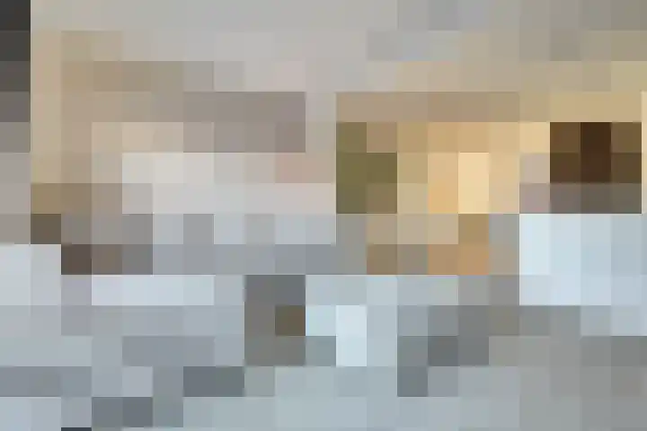 Schrijnwerker 83 Spijkenisse thumbnail 10
