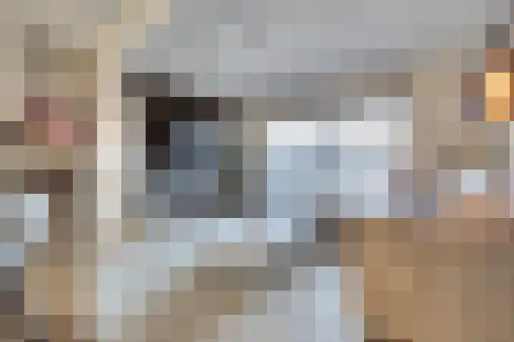 Schrijnwerker 83 Spijkenisse thumbnail 11