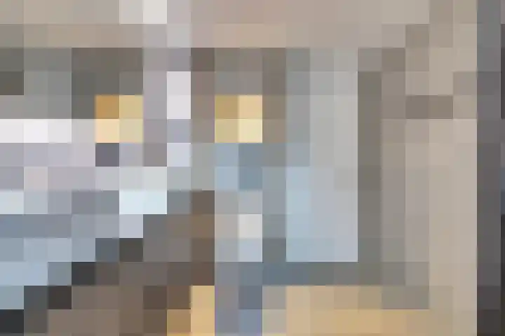 Schrijnwerker 83 Spijkenisse thumbnail 20