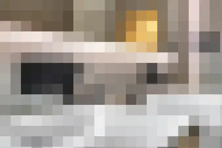 Schrijnwerker 83 Spijkenisse thumbnail 21