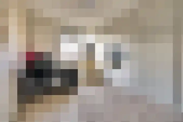 Schrijnwerker 83 Spijkenisse thumbnail 24