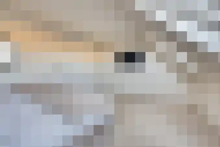 Schrijnwerker 83 Spijkenisse thumbnail 27