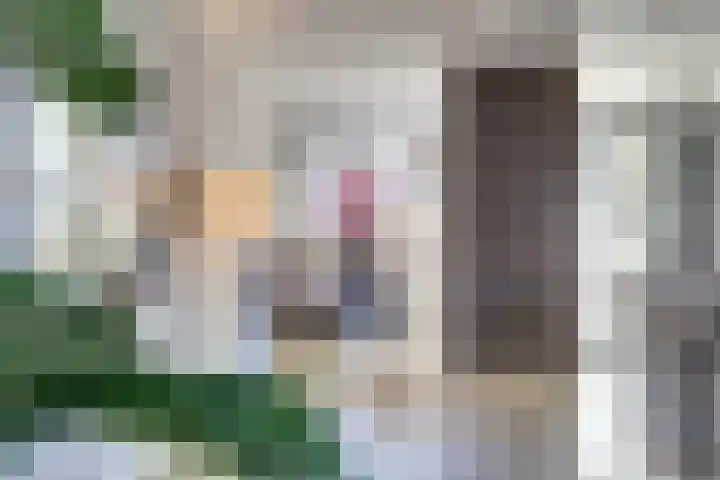 Schrijnwerker 83 Spijkenisse thumbnail 9