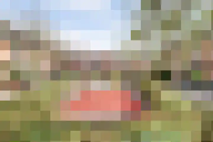 Schrijnwerkerij 23 Barendrecht thumbnail 36