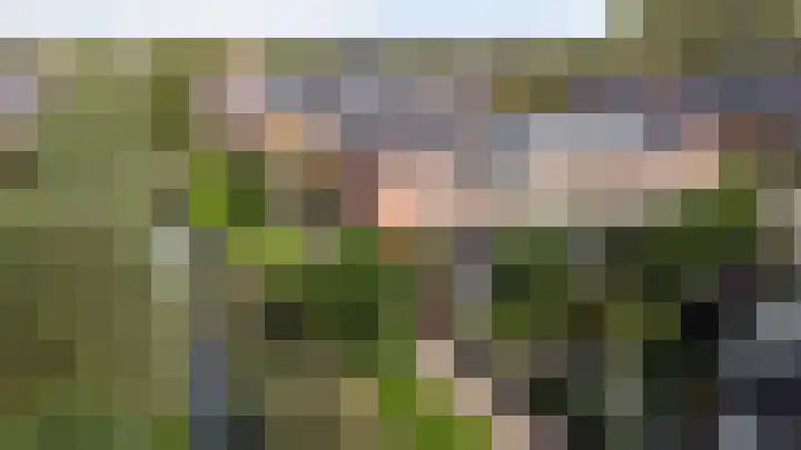 Schrijnwerkerij 23 Barendrecht thumbnail 7
