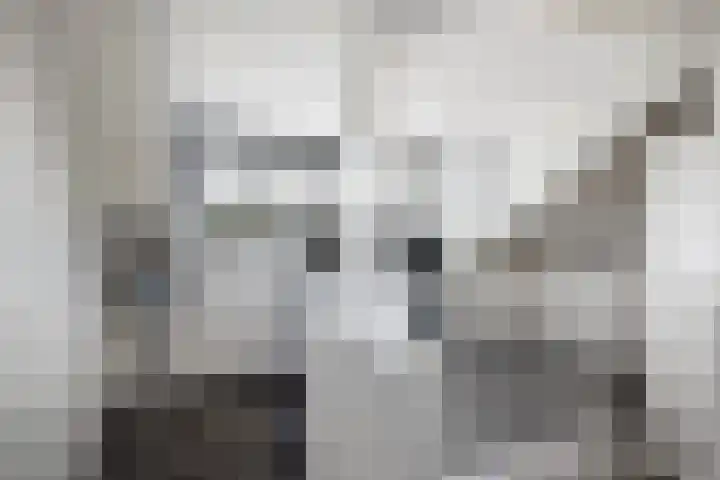 Schrijnwerkerij 27 Barendrecht thumbnail 31