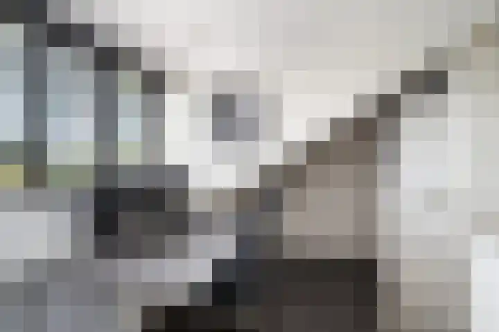 Schrijnwerkerij 27 Barendrecht thumbnail 32