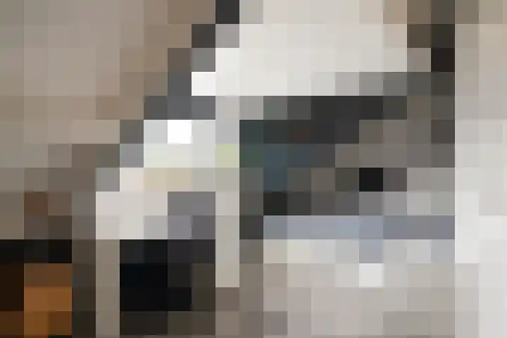 Schrijnwerkerij 27 Barendrecht thumbnail 33