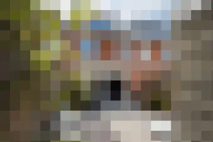 Schrijnwerkerij 27 Barendrecht thumbnail 36