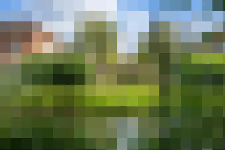 Schrijnwerkerij 27 Barendrecht thumbnail 39
