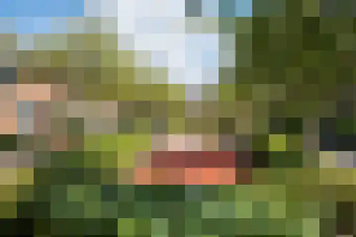 Schrijnwerkerij 27 Barendrecht thumbnail 40