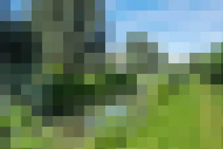 Schrijnwerkerij 27 Barendrecht thumbnail 41