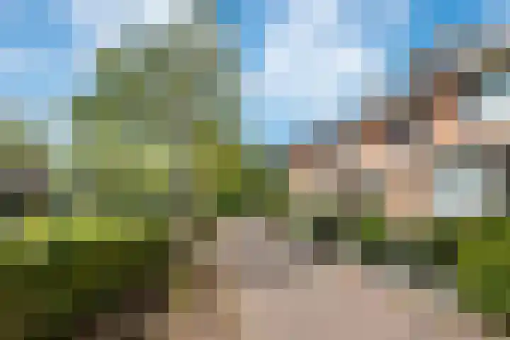 Schrijnwerkerij 27 Barendrecht thumbnail 5