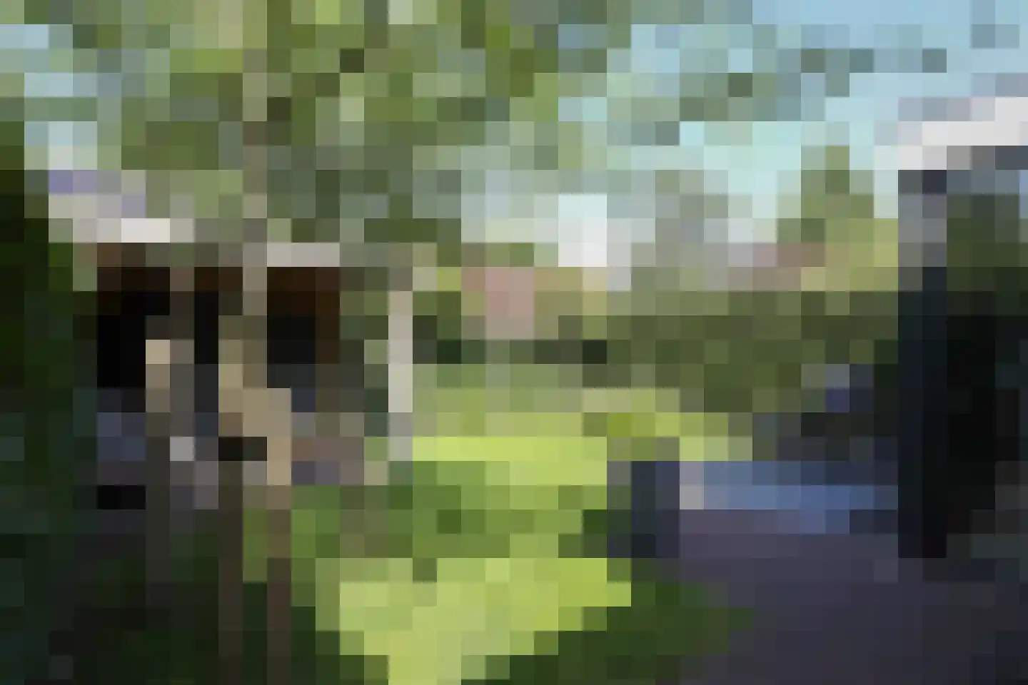 Schrijnwerkerlaan 20 Hoogland thumbnail 5