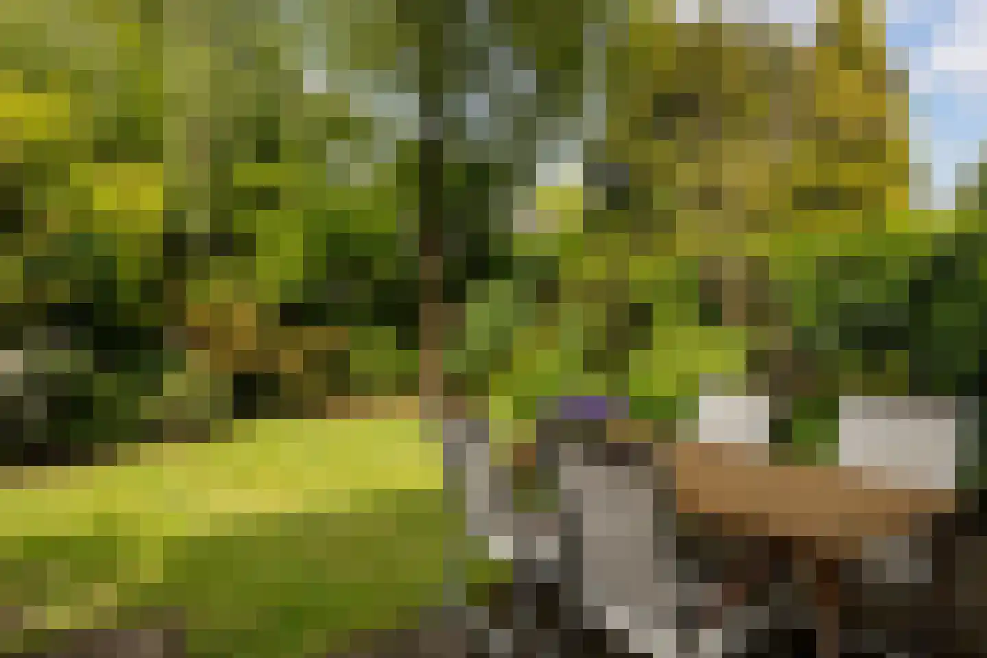 Schrijnwerkerlaan 24 Hoogland thumbnail 30
