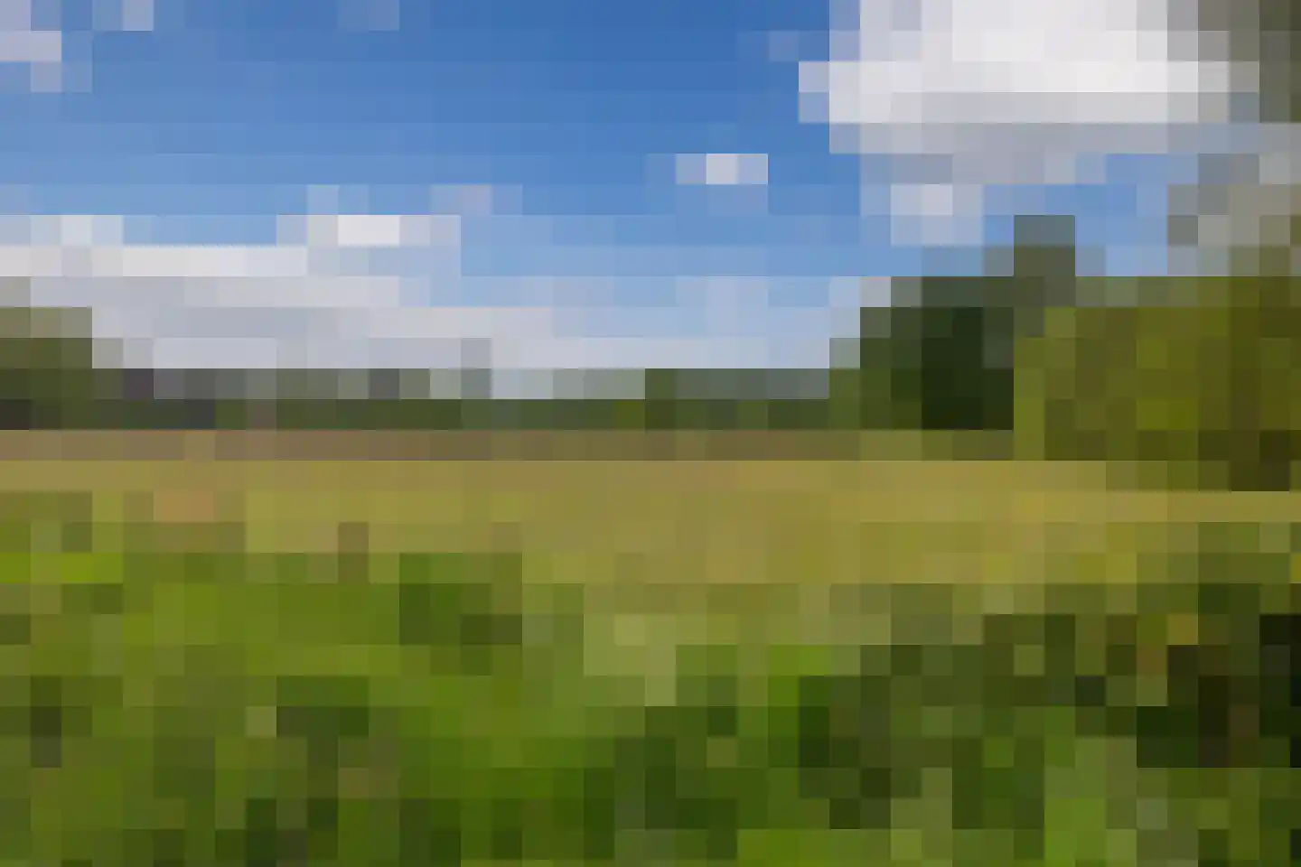 Schrijnwerkerlaan 24 Hoogland thumbnail 34