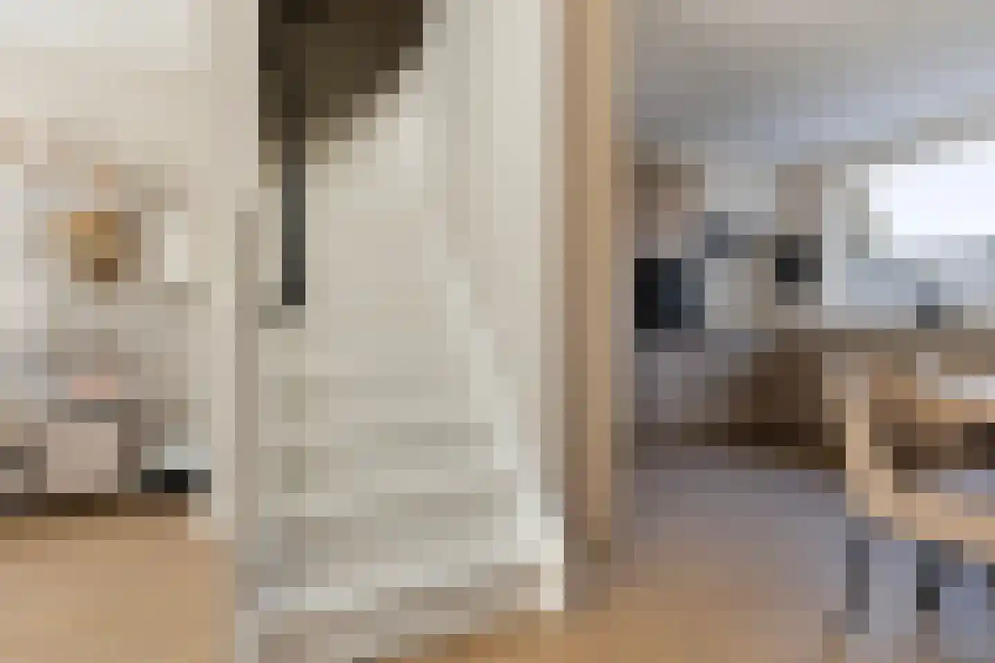 Schrijnwerkershorst 105 Apeldoorn thumbnail 15