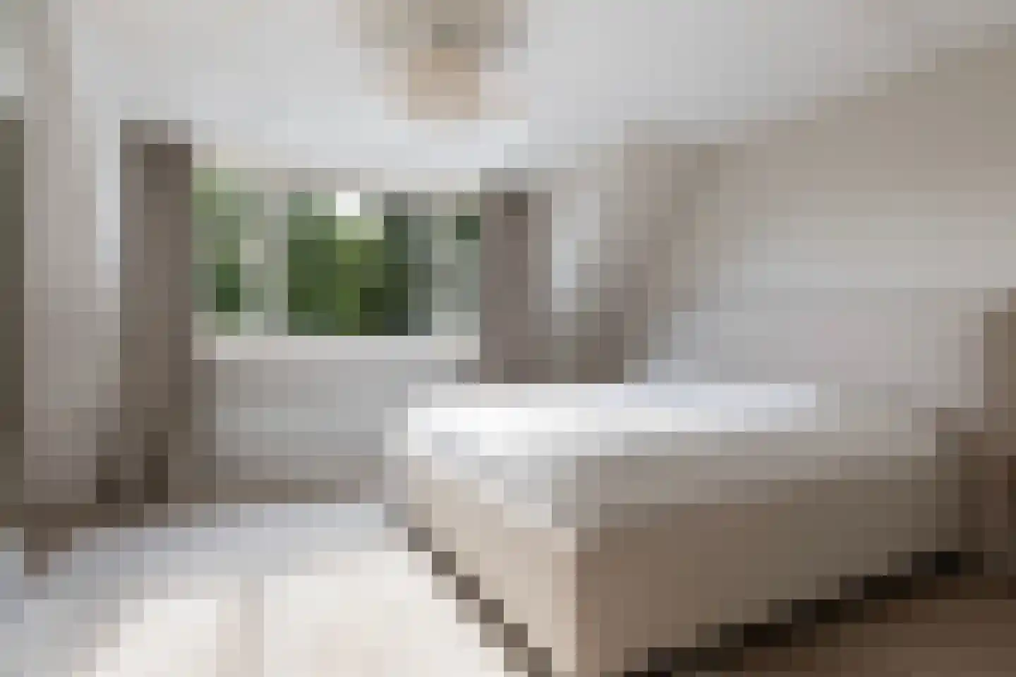 Schrijnwerkershorst 105 Apeldoorn thumbnail 26