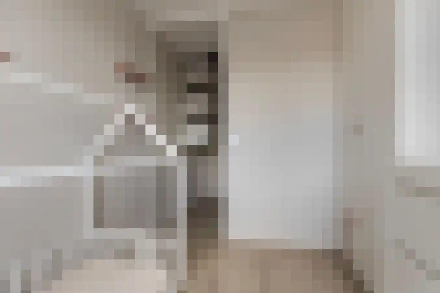 Schrijnwerkershorst 105 Apeldoorn thumbnail 30