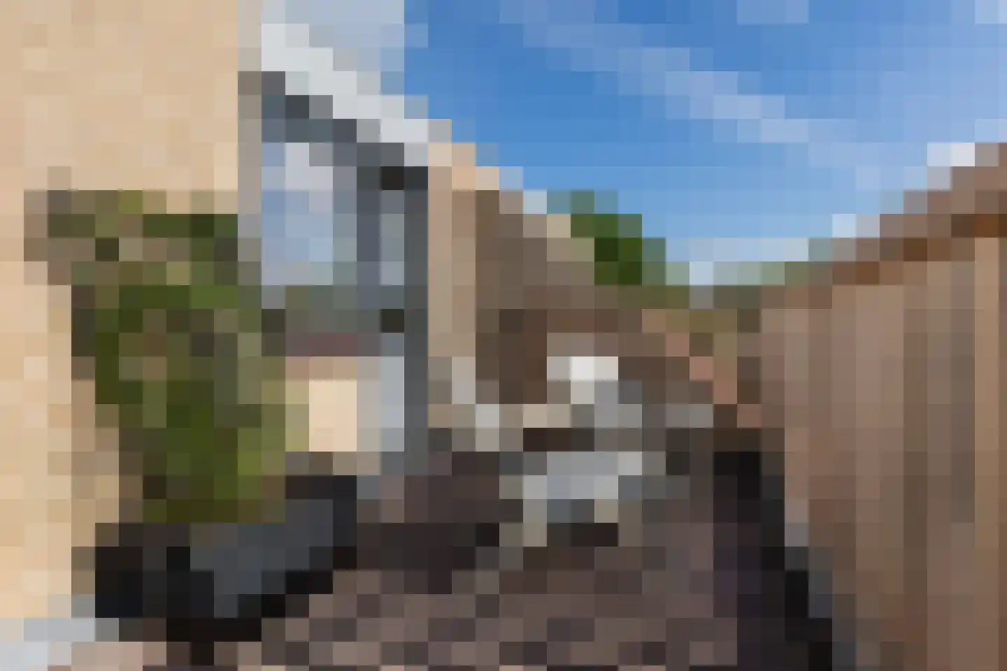Schrijnwerkershorst 105 Apeldoorn thumbnail 38