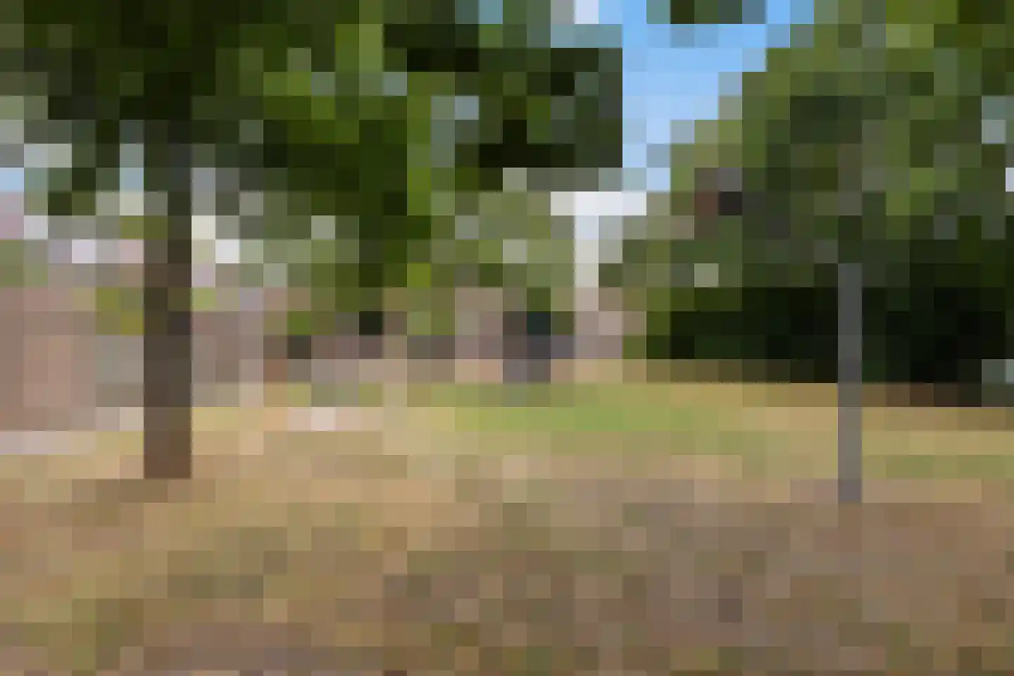 Schrijnwerkershorst 105 Apeldoorn thumbnail 40