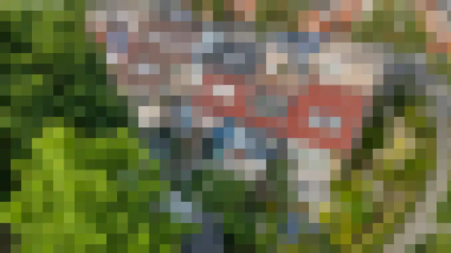 Schrijnwerkershorst 105 Apeldoorn thumbnail 41