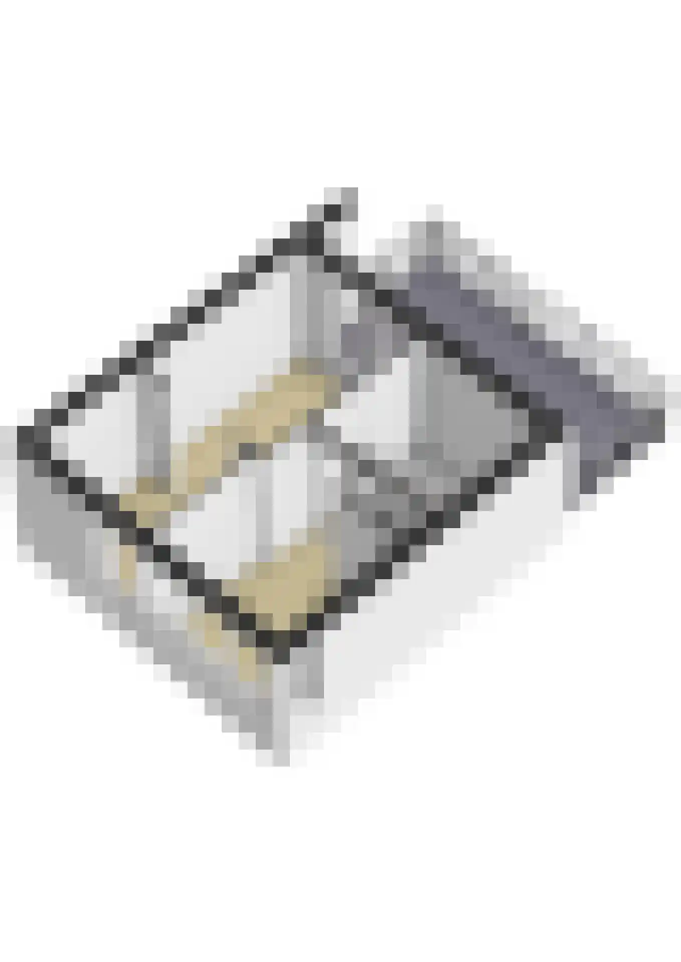 Schrijnwerkershorst 105 Apeldoorn thumbnail 49
