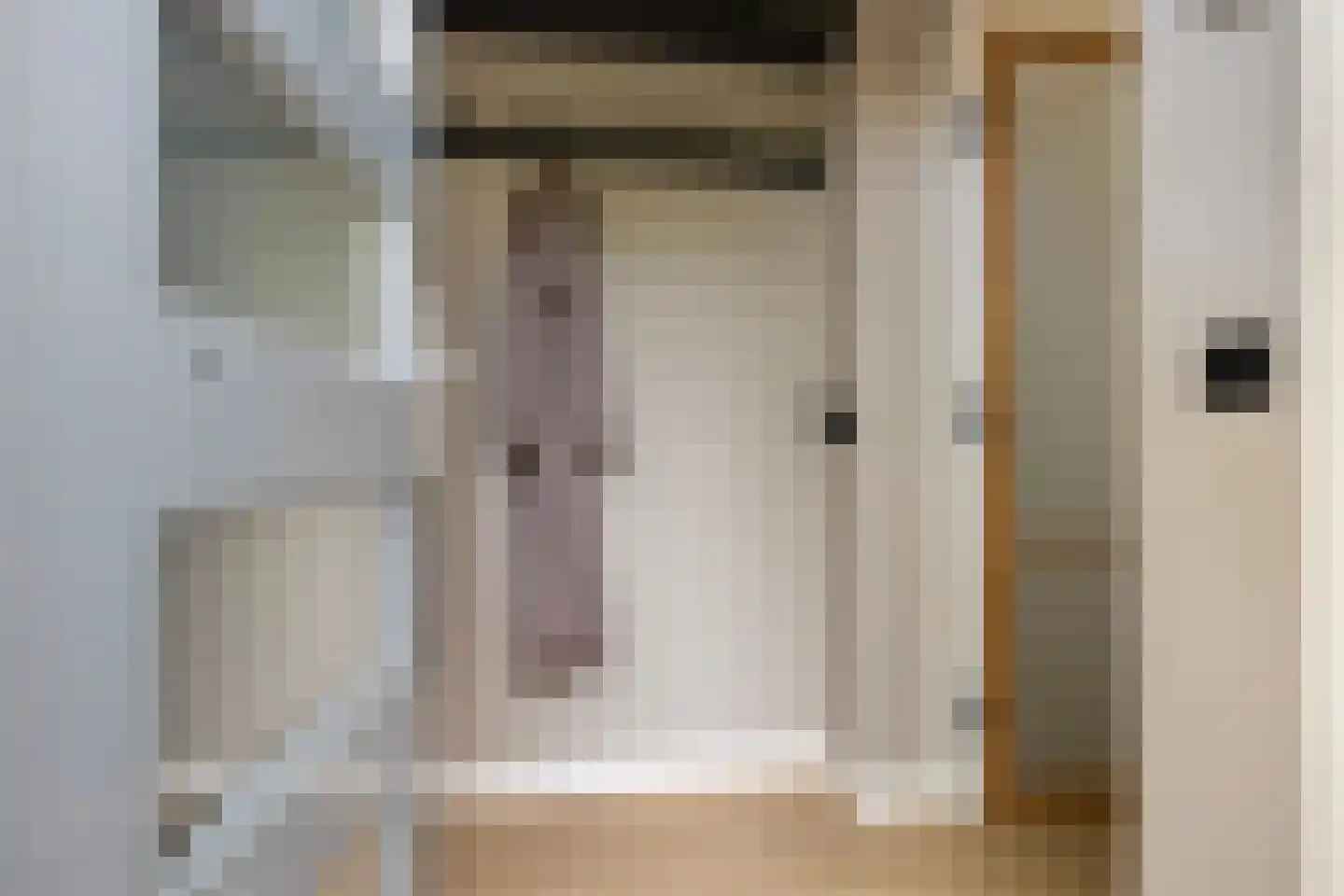 Schrijnwerkershorst 105 Apeldoorn thumbnail 9
