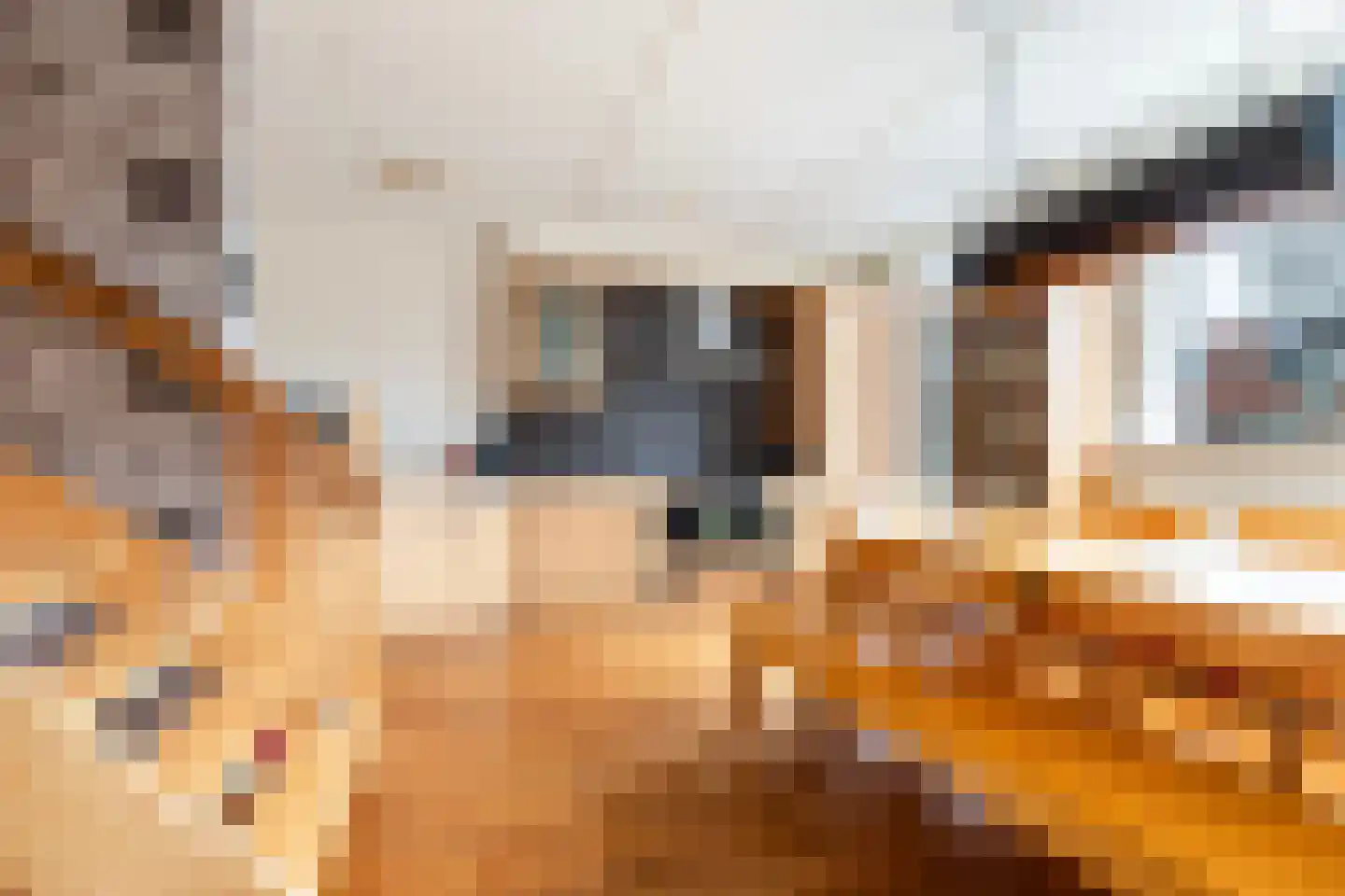 Schrijnwerkershorst 122 Apeldoorn thumbnail 15