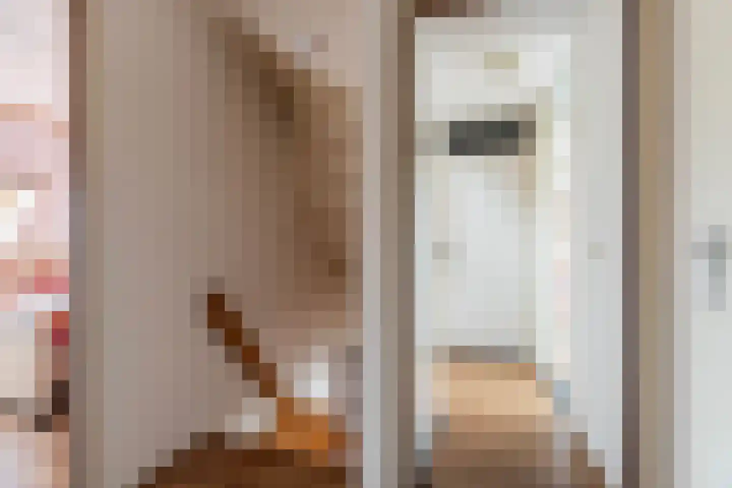Schrijnwerkershorst 122 Apeldoorn thumbnail 17