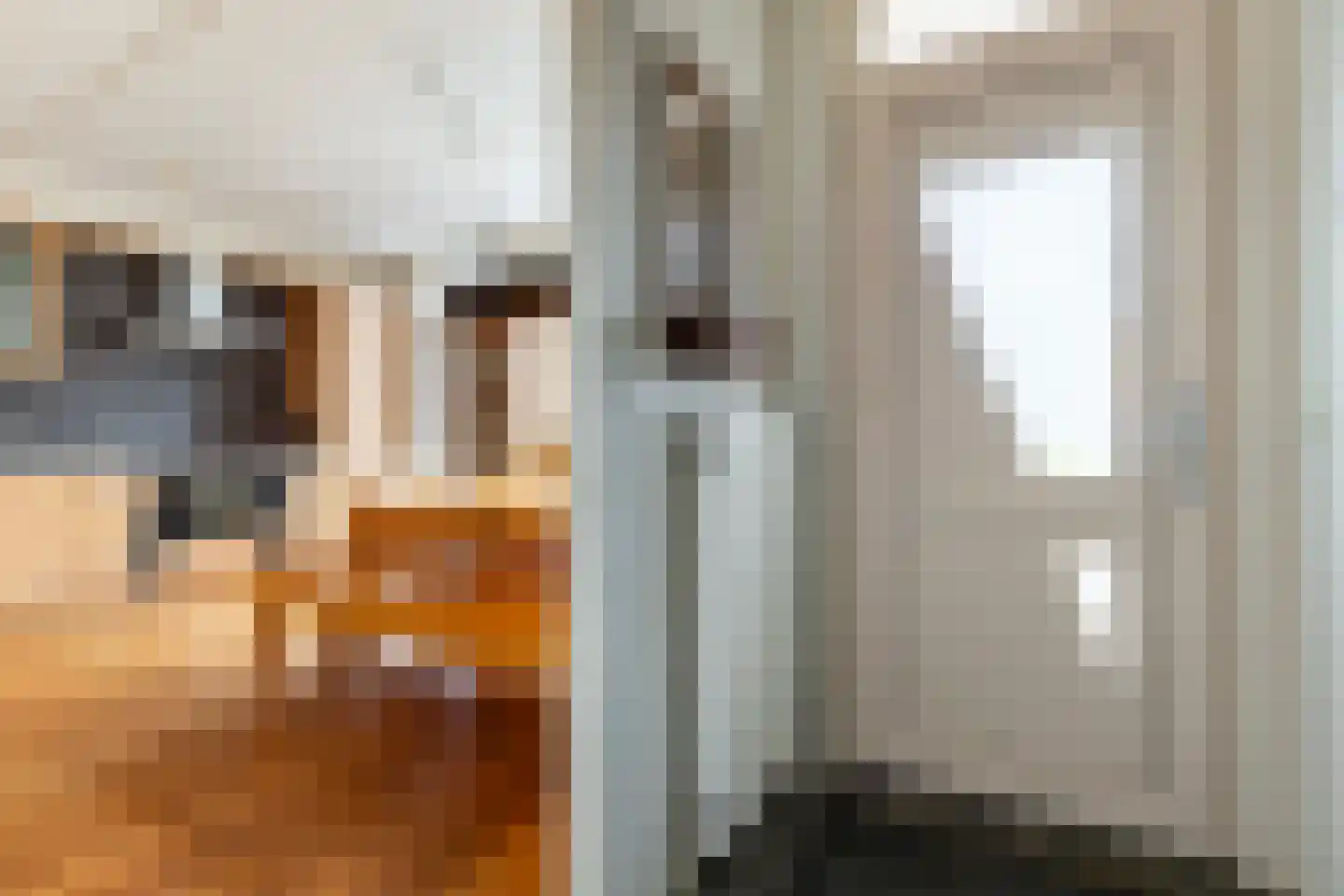 Schrijnwerkershorst 122 Apeldoorn thumbnail 7
