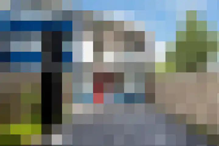 Schrijnwerkershorst 201 Apeldoorn thumbnail 10