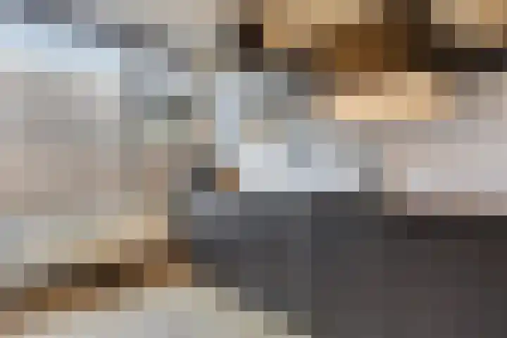 Schrijnwerkershorst 201 Apeldoorn thumbnail 13