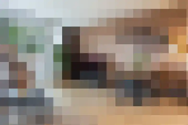 Schrijnwerkershorst 201 Apeldoorn thumbnail 5