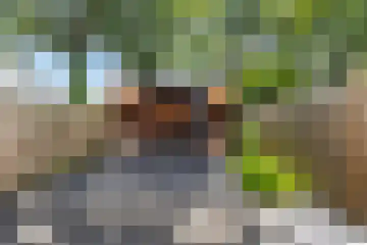 Schrijnwerkershorst 201 Apeldoorn thumbnail 6
