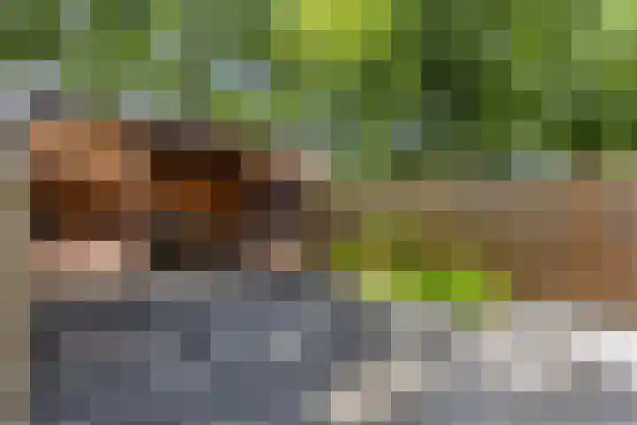Schrijnwerkershorst 201 Apeldoorn thumbnail 7