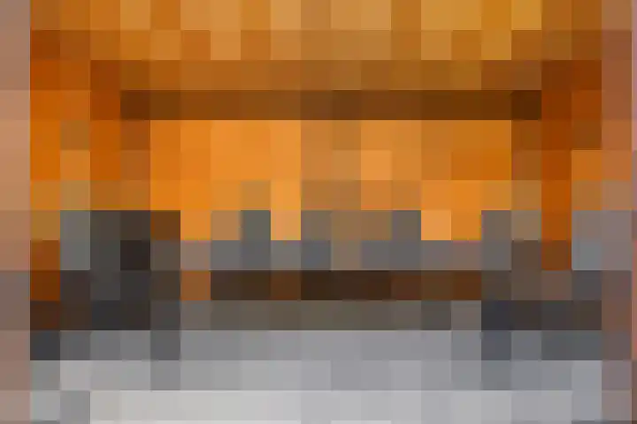 Schrijnwerkershorst 201 Apeldoorn thumbnail 8