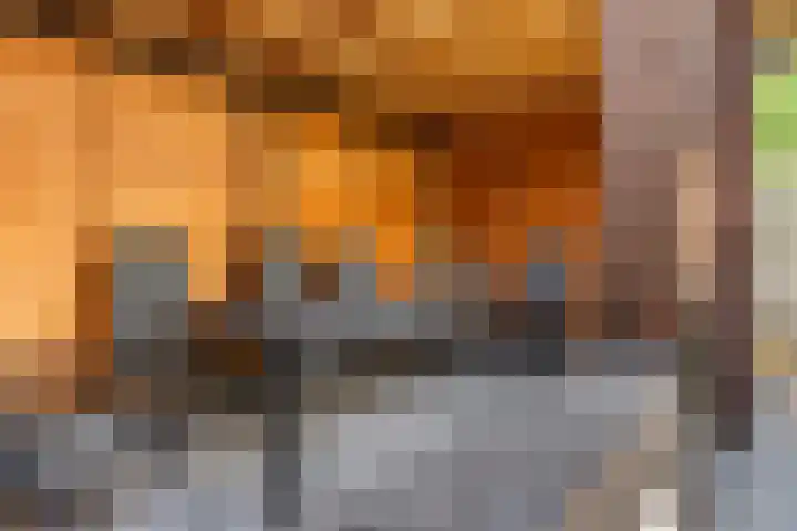 Schrijnwerkershorst 201 Apeldoorn thumbnail 9
