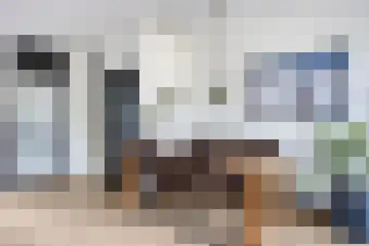 Schrijnwerkershorst 229 Apeldoorn thumbnail 10