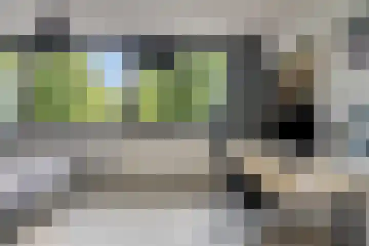Schrijnwerkershorst 229 Apeldoorn thumbnail 15