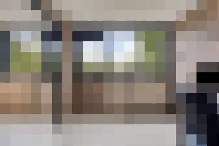 Schrijnwerkershorst 229 Apeldoorn thumbnail 20