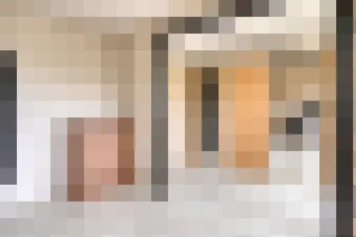 Schrijnwerkershorst 229 Apeldoorn thumbnail 21