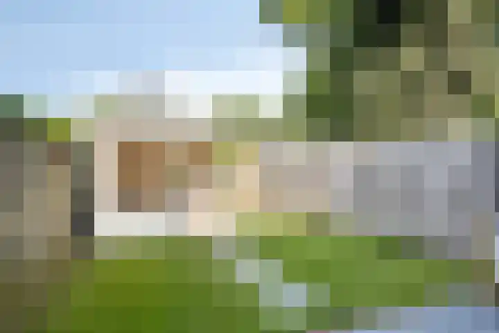 Schrijnwerkershorst 229 Apeldoorn thumbnail 31