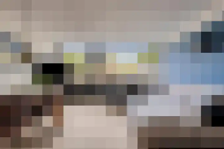 Schrijnwerkershorst 229 Apeldoorn thumbnail 4
